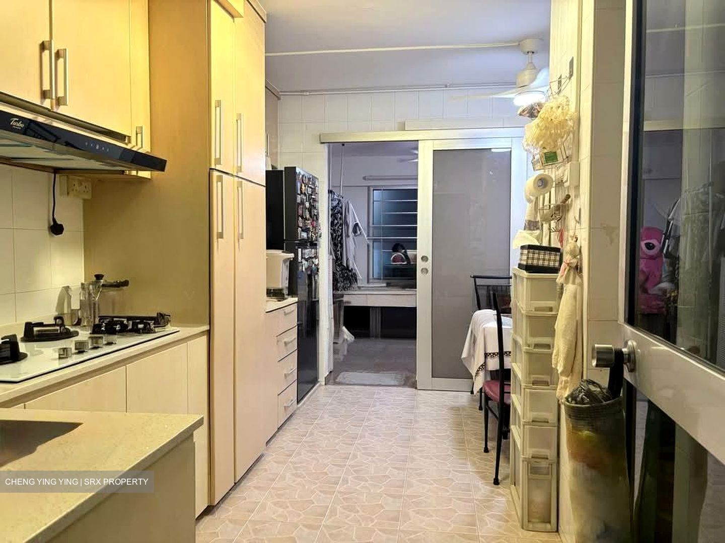 Blk 254 Bangkit Road (Bukit Panjang), HDB Executive #582250041